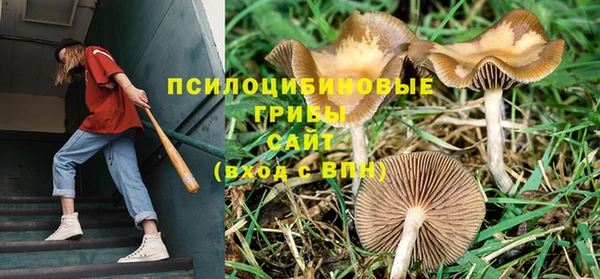 ешки Белоозёрский