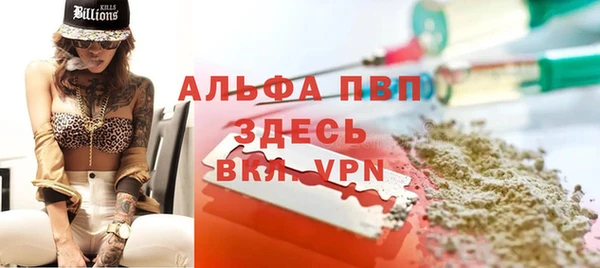 гашик Белокуриха