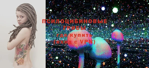 гидра Богородицк