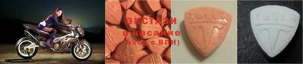 гидра Богородицк