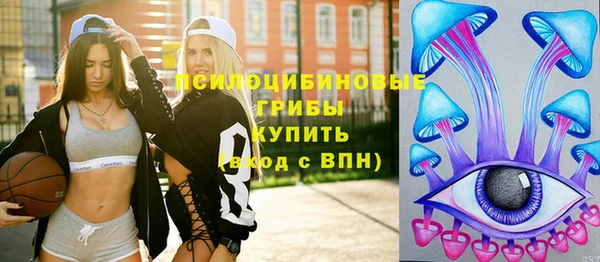 соль курить ск Богородск