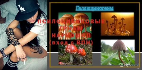 соль курить ск Богородск