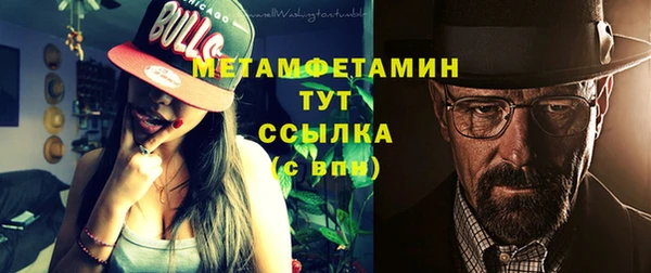 гидра Богородицк